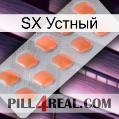 SX Устный 26